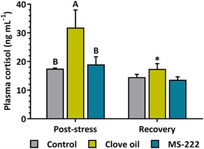 Transport and Recovery of Gilthead Seabream (Sparus aurata L.) Sedated With Clove Oil and MS-222: Effects on Stress Axis Regulation and Intermediary Metabolism